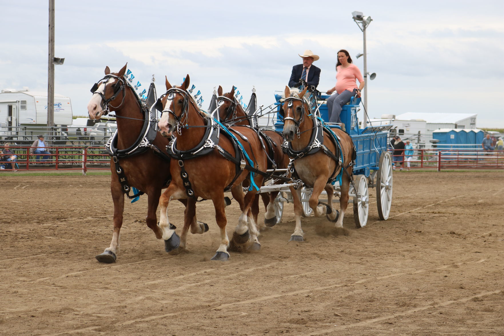 4-Horse Hitch 1